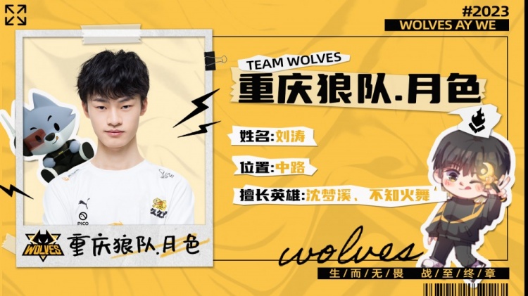 可验证元数 可验证元数